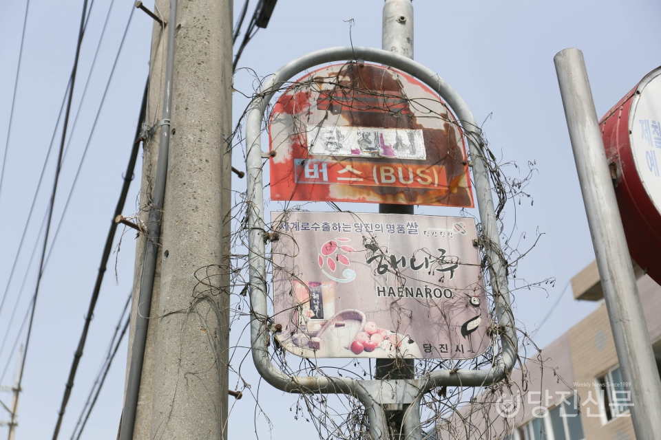 당진군 시절 설치된 것으로 보이는 버스표지판. 예전에 설치된 모델로 해나루쌀 홍보 그림이 있다.