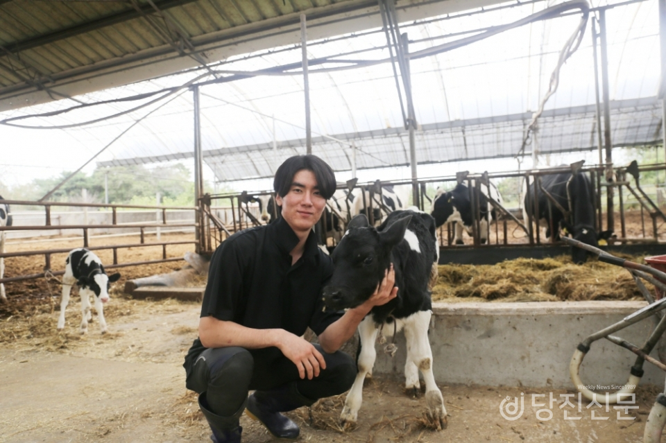 합덕읍에서 목장을 운영하고 있는 이용호 씨는 올해 1994년생으로 28세의 젊은 낙농인이다. ⓒ당진신문 이석준 기자
