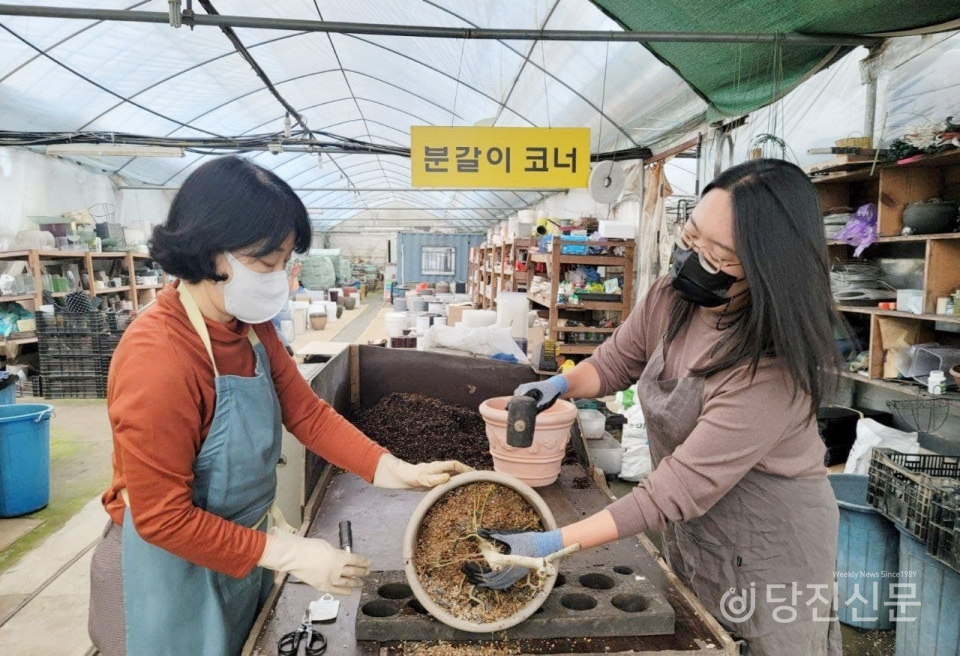 농업회사법인 (주)초록에서 '전세희' 치유농업사 ⓒ당진신문 김정아 시민기자