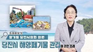 [DTV] 당진시의회 조례돋보기- 당진시 해양폐기물 관리에 대한 조례안
