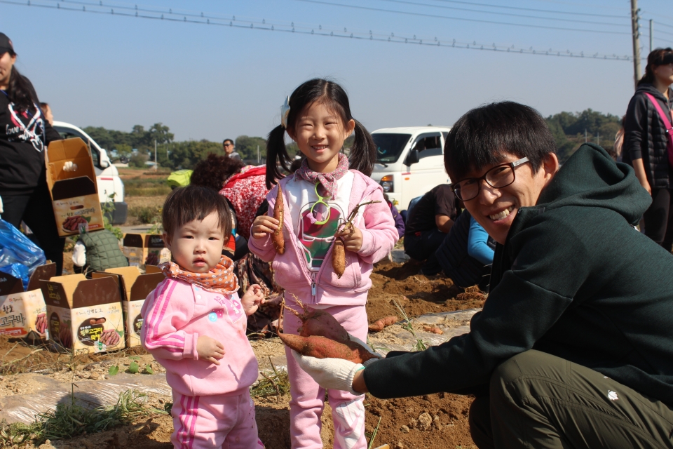 부산에서 온 신명호(40) 씨와 지윤(4), 유빈(2) 두 자녀의 고구마수확 체험