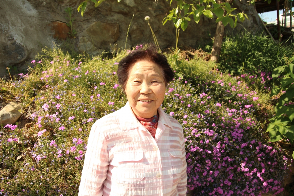 동네 유일한 꽃 담벼락에서 활짝 웃으시는 복석숭 어머니(77)