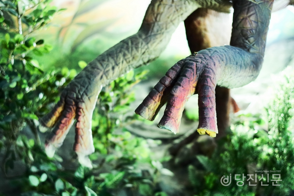 공룡 앞발 한쪽이 손톱 부분이 파손돼 내부 스펀지가 보인다.