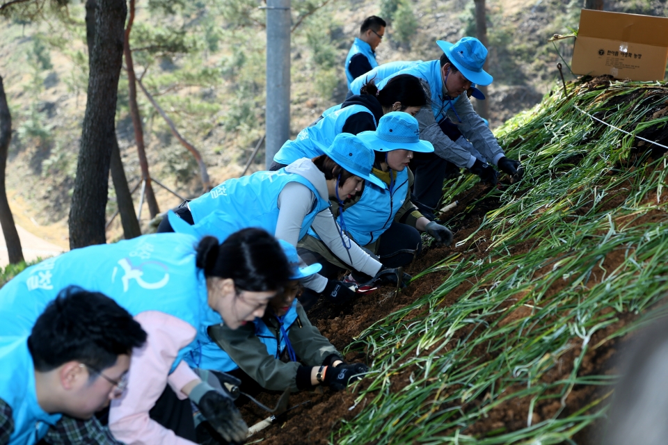 가족봉사단이 삼선산수목원, 수청공원 등지에서 조경 봉사활동을 하고 있다.