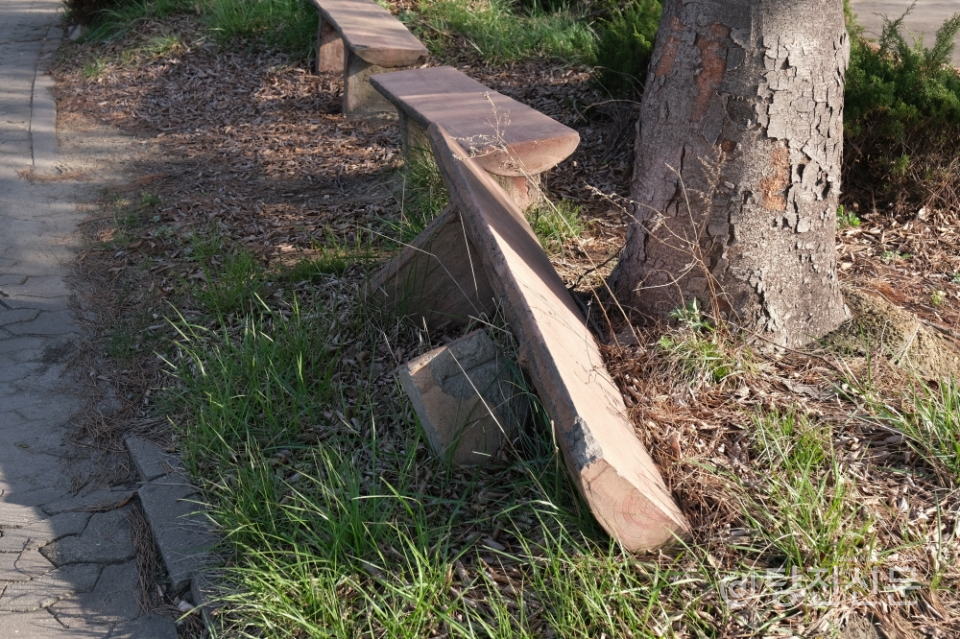 성구미 공원 내 파손된 나무 벤치.