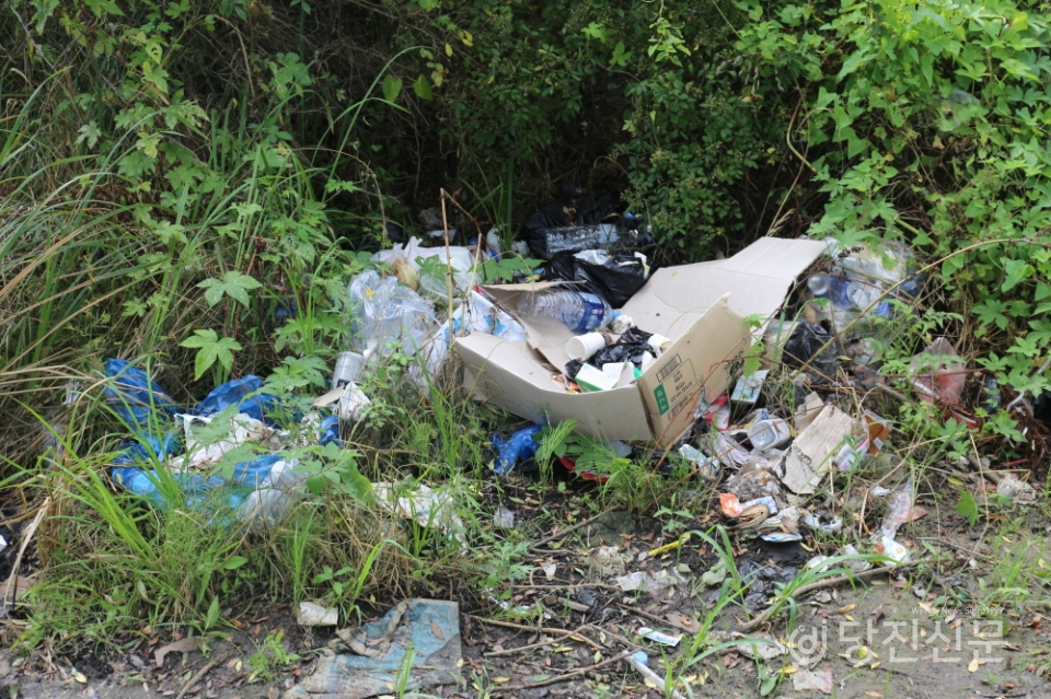 하천 인근 낚시인이 버리고간 쓰레기