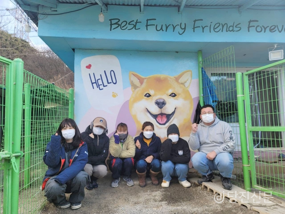 당진에서 유기견들을 돌보는 봉사를 펼치고 있는 동공당(동물과 공존하는 당신) ⓒ당진신문 김정아 시민기자
