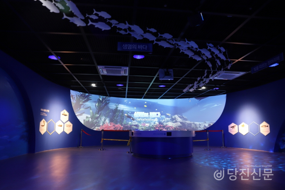 2층 해양생존 체험관의 대부분 스크린 빔을 활용한 화면 터치와 체험 공간으로 이뤄져 있다.