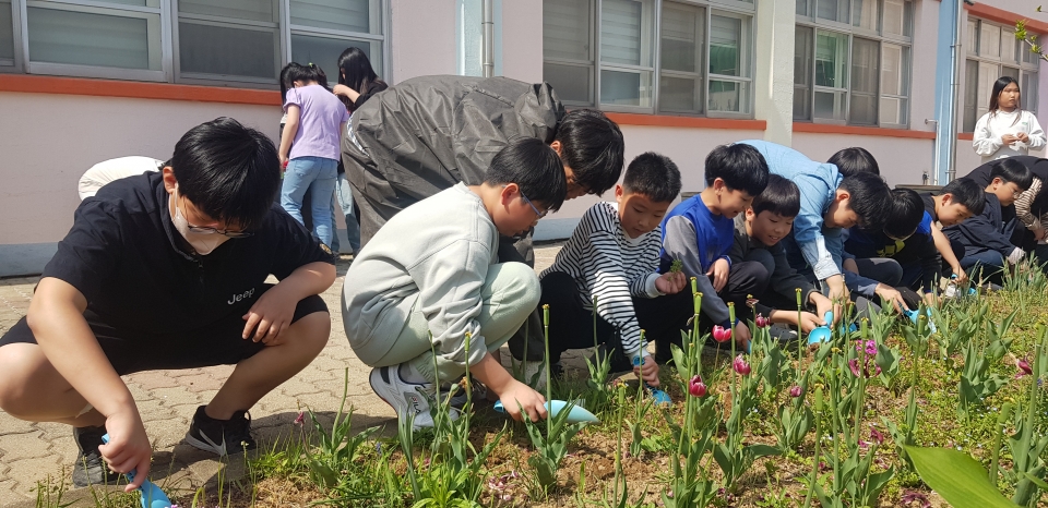 환경동아리 활동을 전개하고 있는 석문초 학생들. ⓒ석문초등학교 제공
