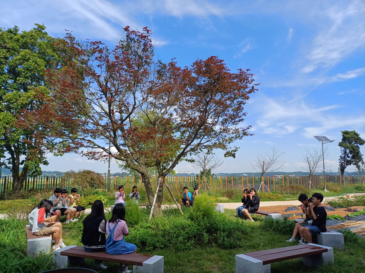 북창초등학교, 2023 생태환경학교 학교숲 조성 모습. ⓒ북창초등학교 제공
