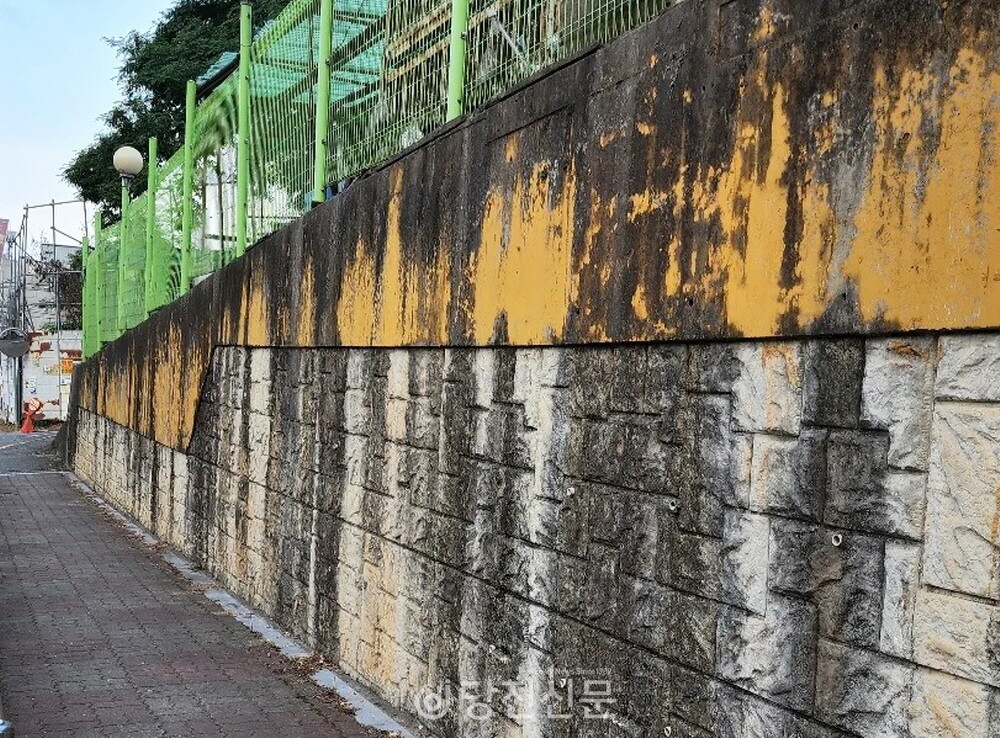 기존 벽면은 곰팡이와 오래된 페인트로 오염이 심각했다. ⓒ당진미협 제공