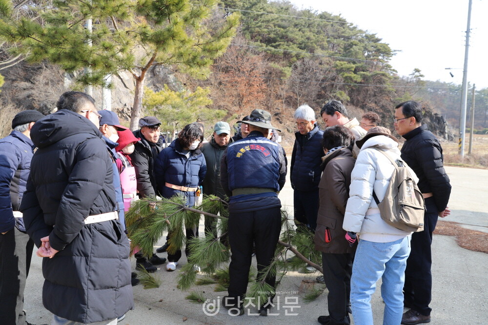 한국정원관리사협회 회원들이 지난 7일 소나무 전지 실습에 나섰다. ⓒ배창섭