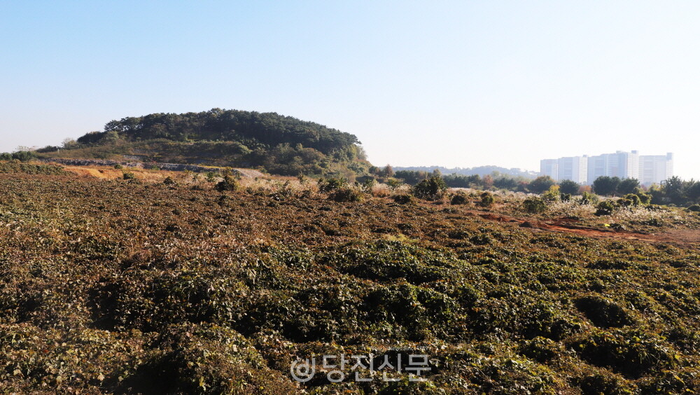 도광산업 이미지