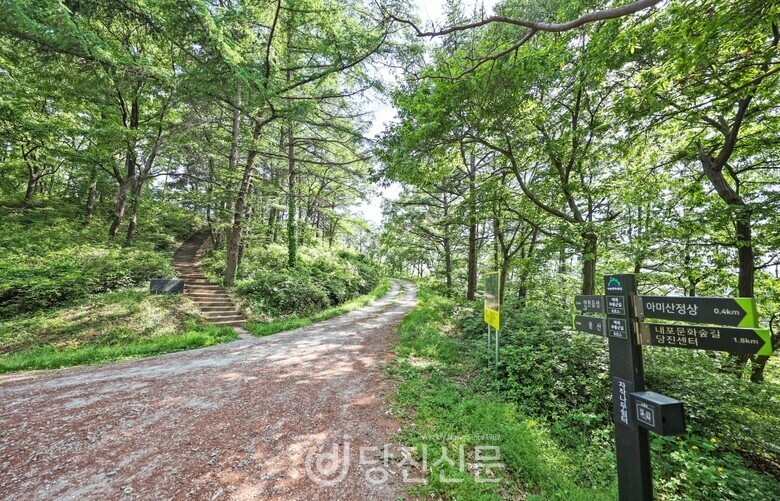 하천길·숲길·트랙까지..당진 러닝 코스 8선 - 뉴스 썸네일 이미지