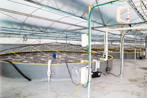 친환경 양식이라더니..당진 온배수양식장 '사업 실패' 논란 - 뉴스 썸네일 이미지