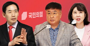 <b>국민의힘</b>, 심의수·전선아 징계 요구..<b>내홍 심화</b>